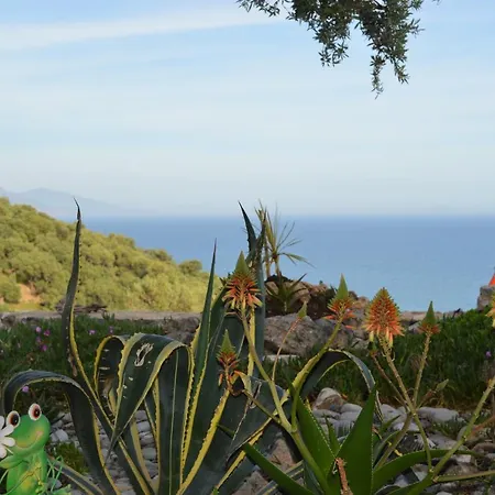 Horizon Studios Rodakino